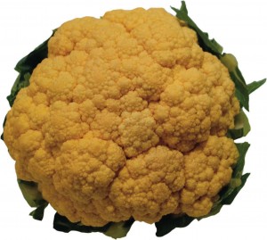 Cauliflower - orange