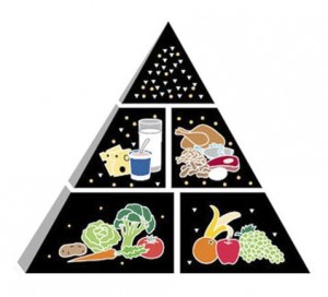 ERFOE Food pyramid