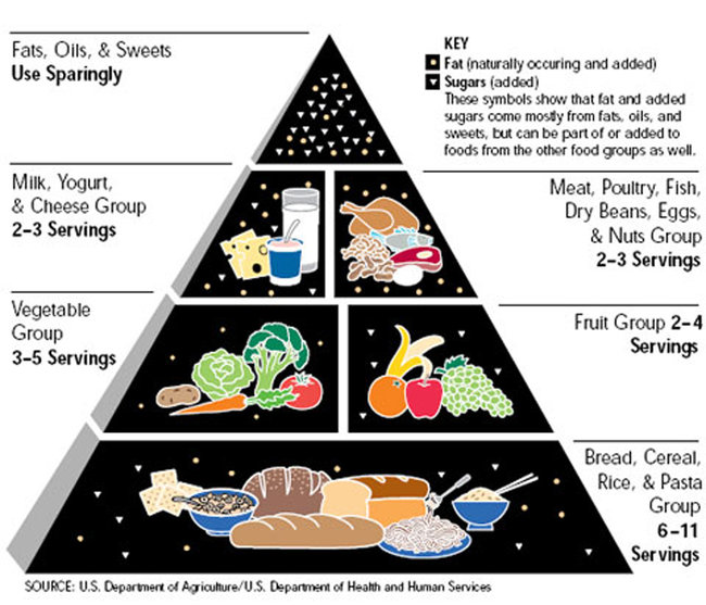 Food pyramid