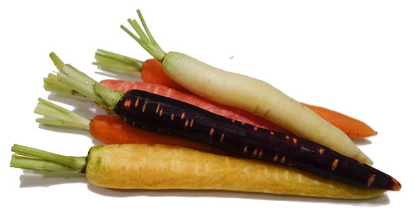 Carrots-bunch